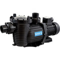 Neptune NPP750 Pool Pump, 1.0hp, 313L/min max flow, 750W power